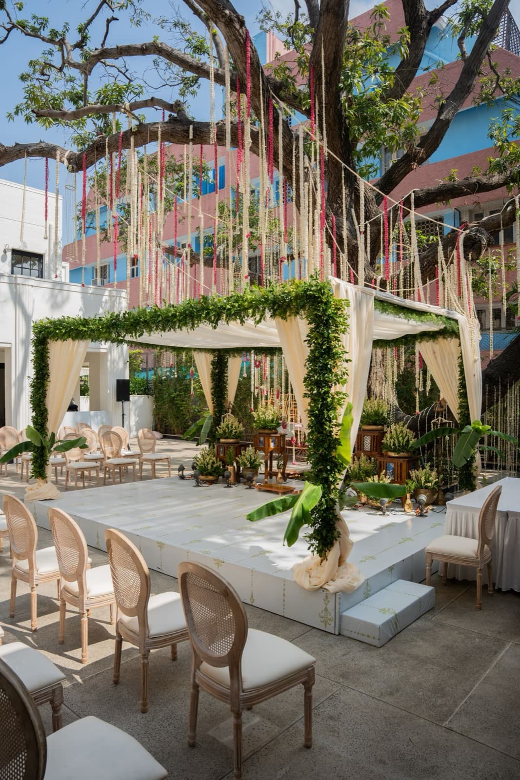 December Outdoor Celebration